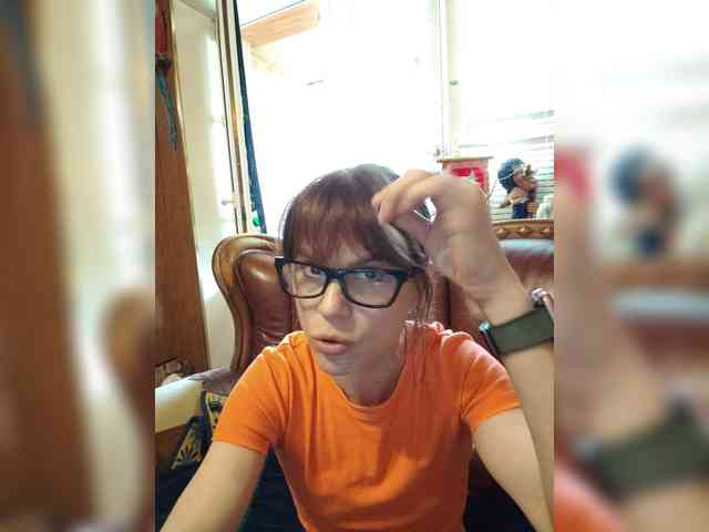 Vikeyna webcam