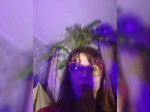 Vikeyna webcam