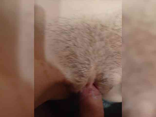 VOLKAIDA webcam