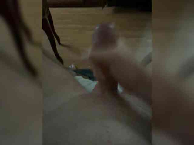 hassio Sex Cam Show