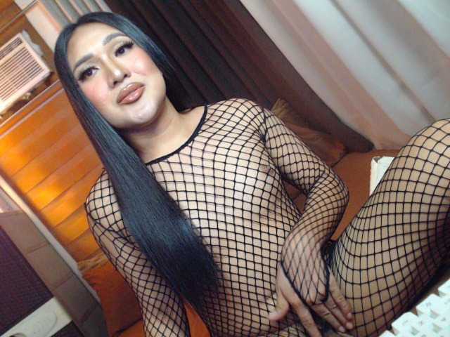 Transkittylover