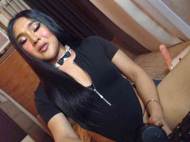 Transkittylover