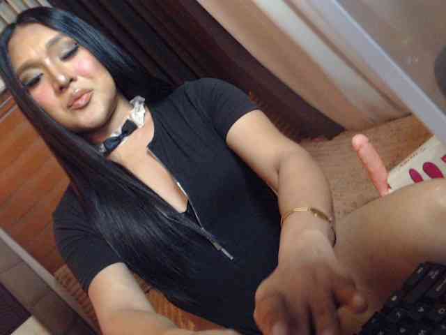 Transkittylover