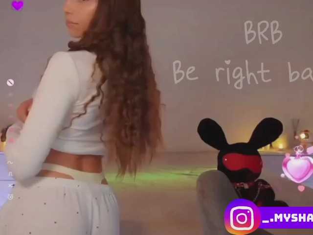 Myshastik