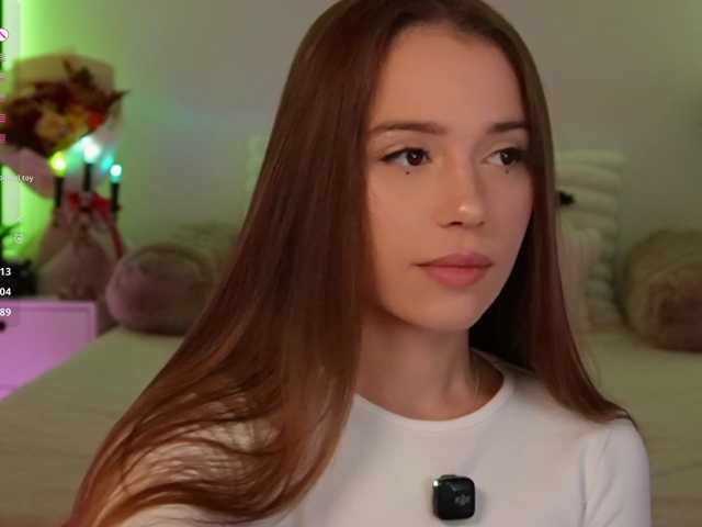 Myshastik