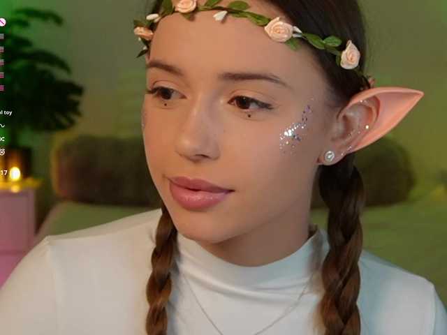 Myshastik