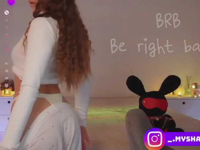 Myshastik