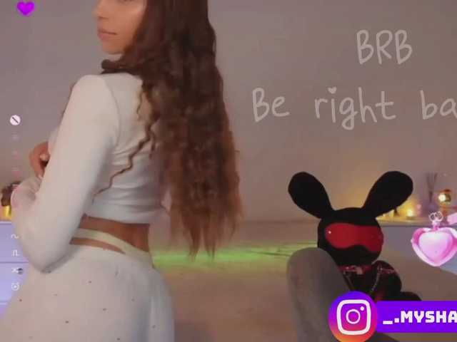 Myshastik