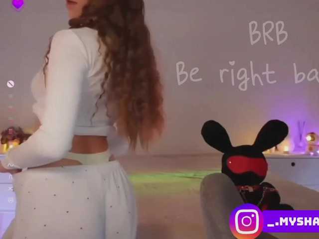 Myshastik