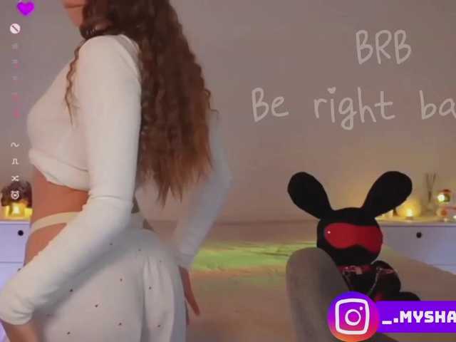 Myshastik