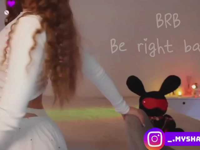 Myshastik