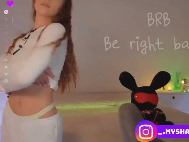 Myshastik