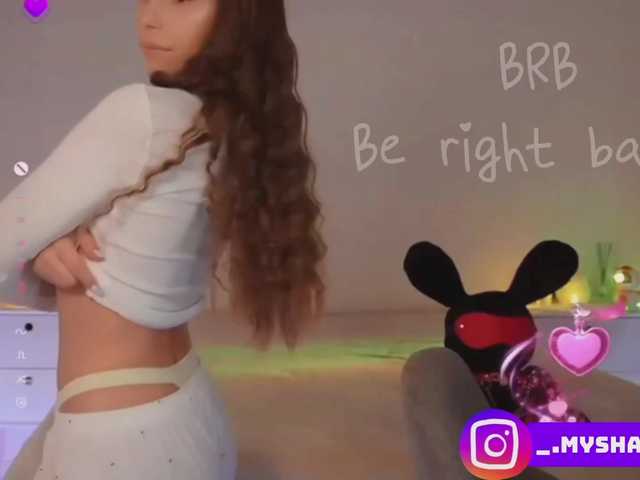 Myshastik