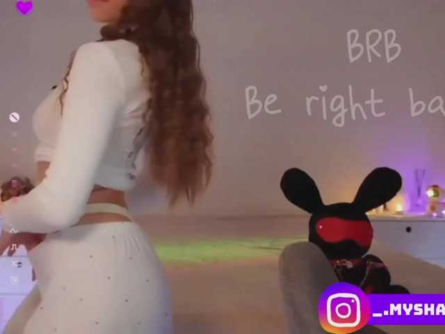 Myshastik