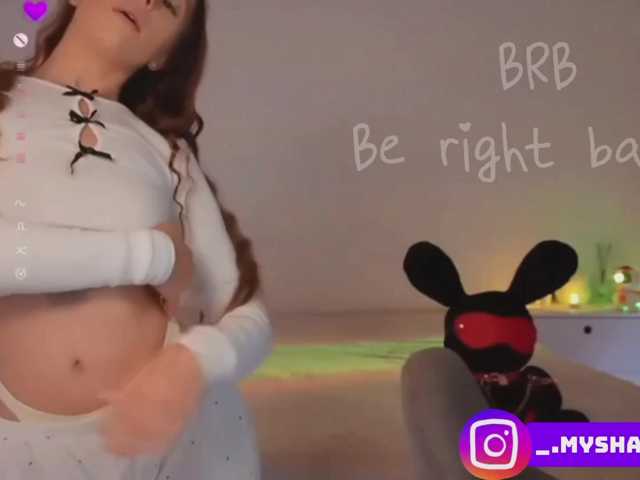Myshastik