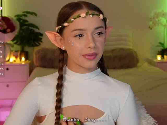 Myshastik