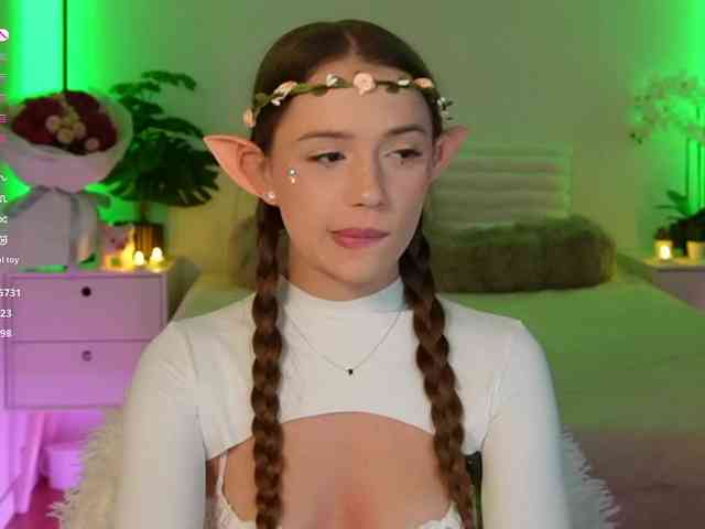 Myshastik