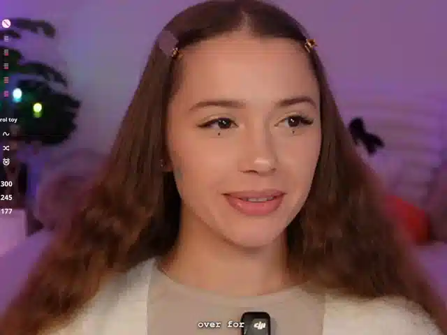 Myshastik