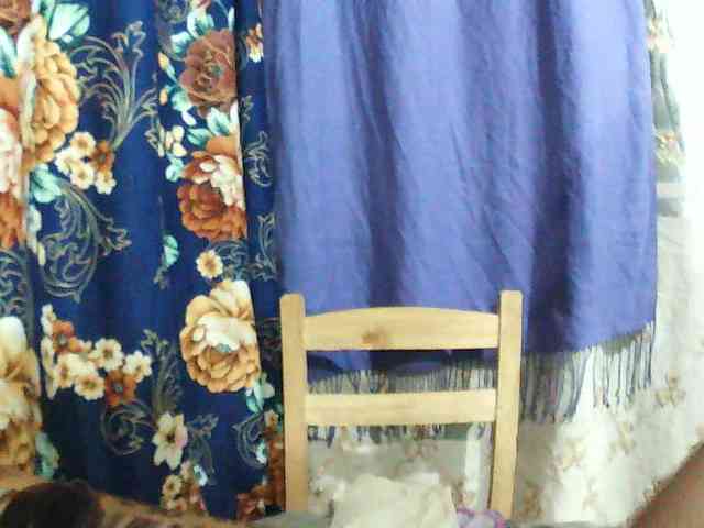 Eva-011 webcam