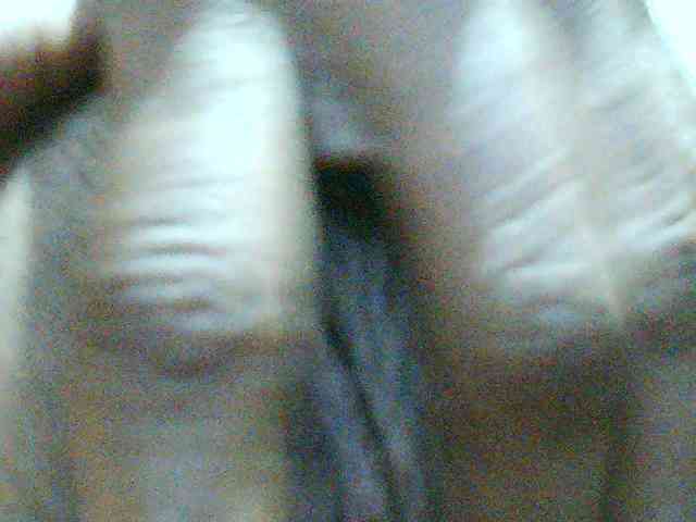 Eva-011 webcam