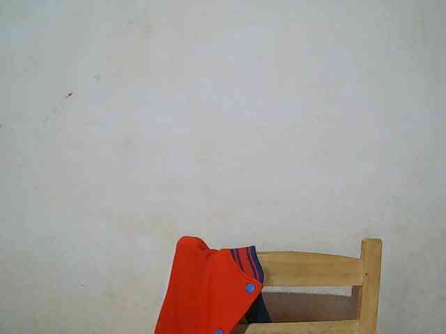 Eva-011 webcam