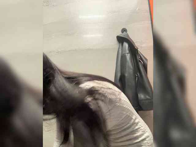EvaRoughe webcam
