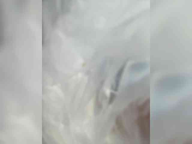 EvaRoughe webcam