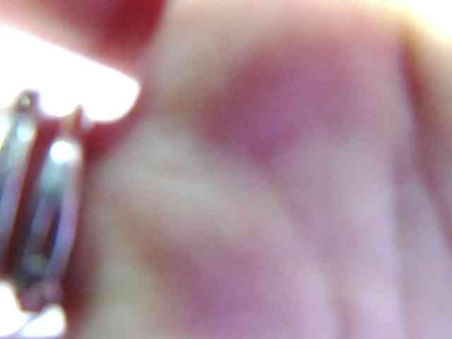RavenFoxy webcam