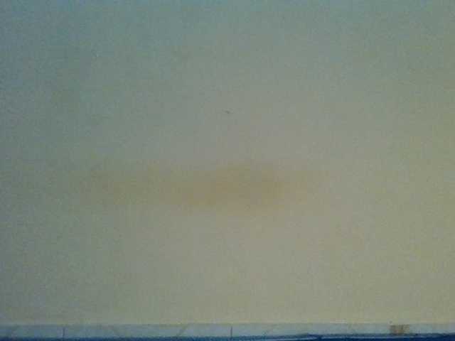 Fancy-melody live cam on BongaCams