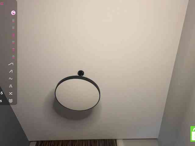 TyeshaDirksen webcam