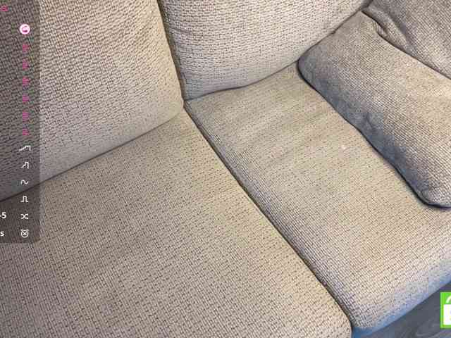 TyeshaDirksen webcam