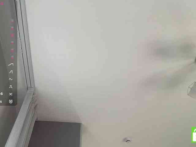 TyeshaDirksen webcam