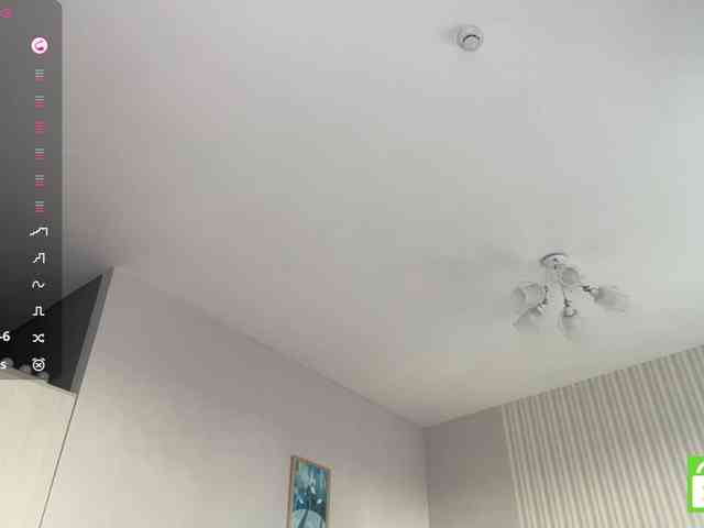 TyeshaDirksen webcam