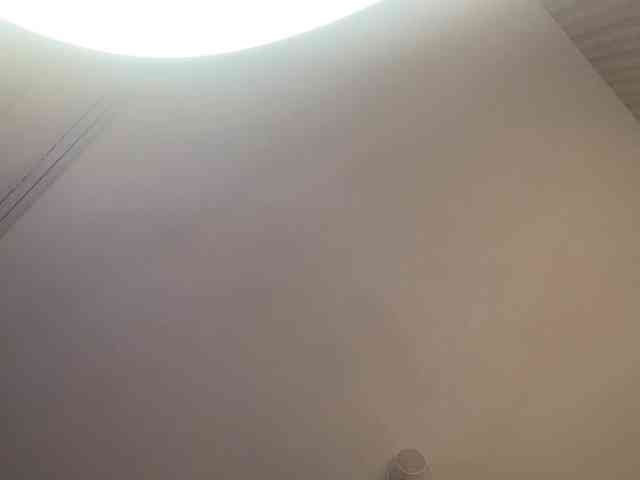 TyeshaDirksen webcam