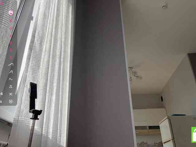 TyeshaDirksen webcam