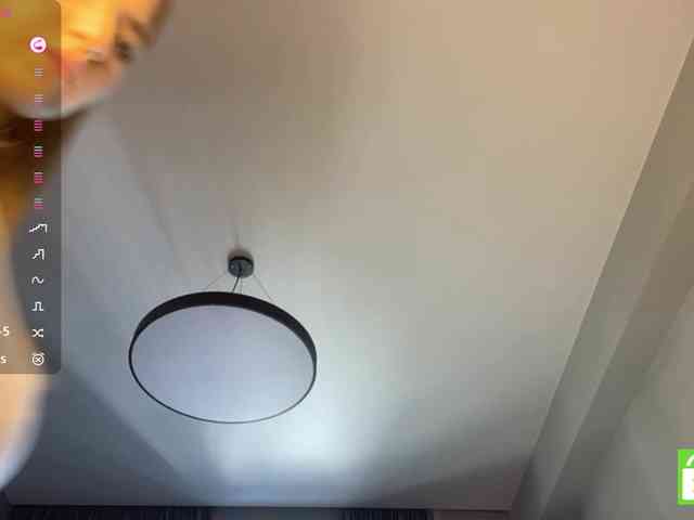 TyeshaDirksen webcam