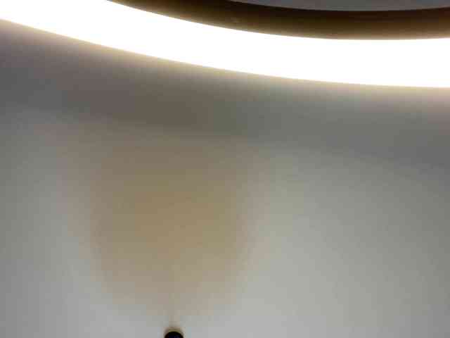 TyeshaDirksen webcam