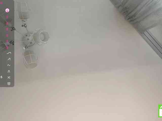 TyeshaDirksen webcam