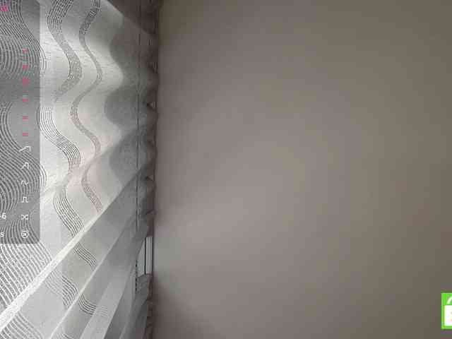 TyeshaDirksen webcam