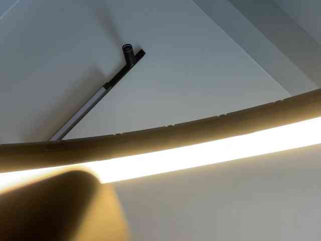 TyeshaDirksen webcam
