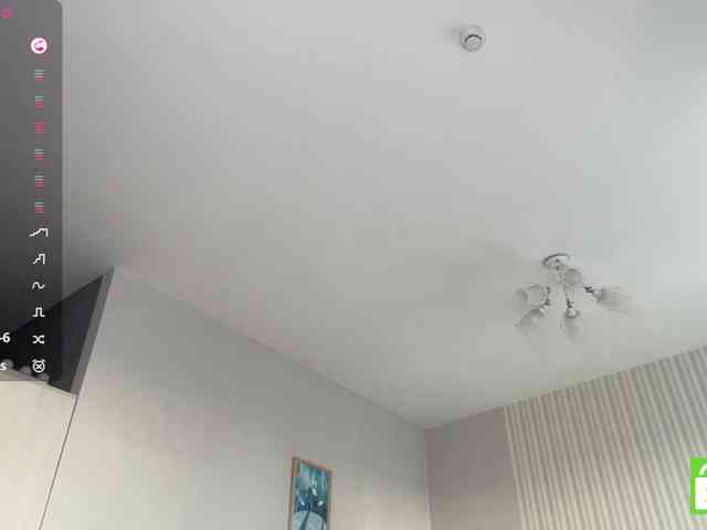 TyeshaDirksen webcam