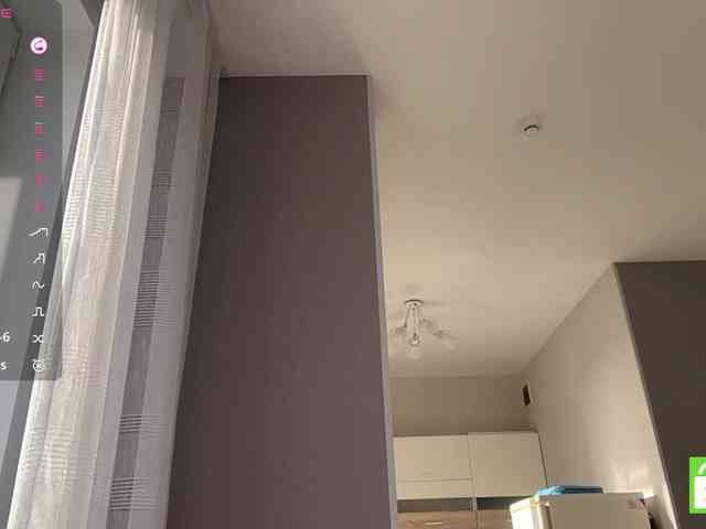 TyeshaDirksen webcam