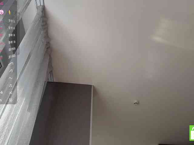 TyeshaDirksen webcam