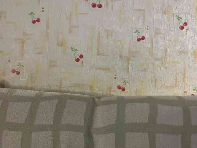 SeptemberRarogal webcam