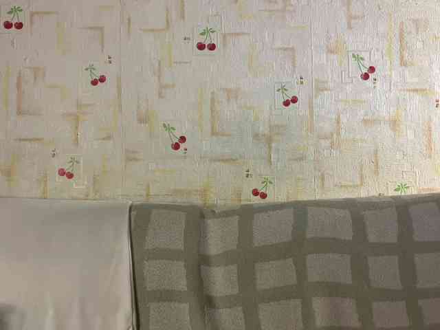 SeptemberRarogal webcam