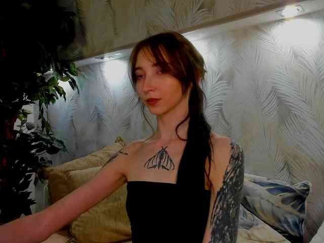 Ellen-Hops webcam
