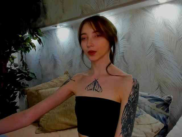 Ellen-Hops webcam