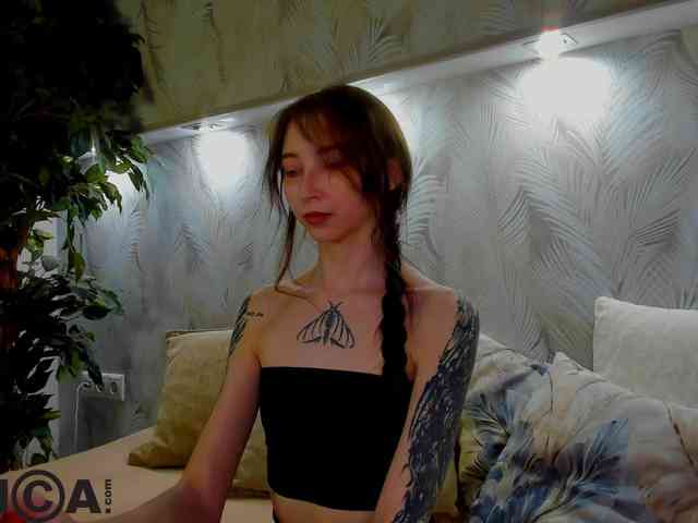Ellen-Hops webcam