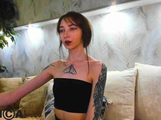 Ellen-Hops webcam