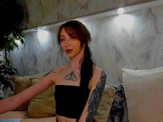 Ellen-Hops webcam